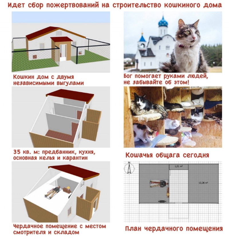 Картинки аренда зданий для приюта животных карандашом