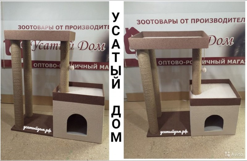 Кошка или Бим