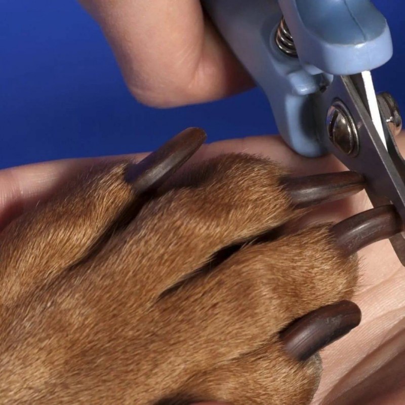 Xiaomi pawbby кусачки для когтей