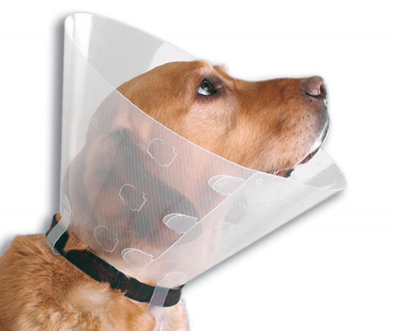 Защитный воротник Kruuse Buster clic Collar 30 см