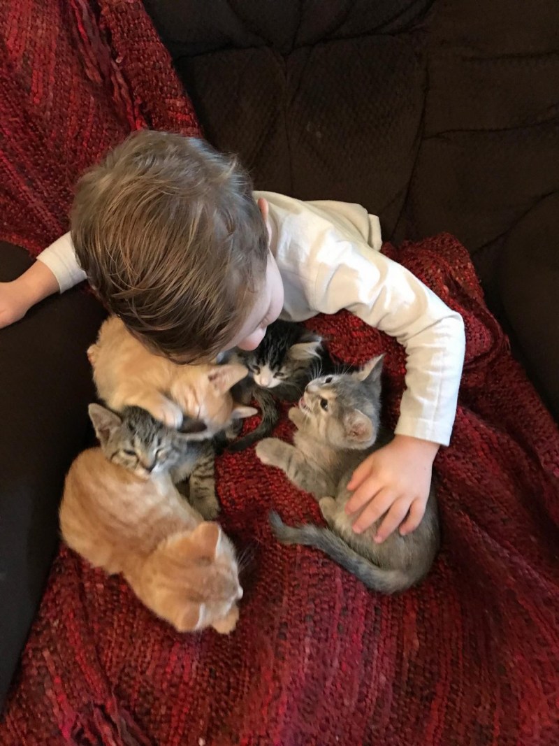 Маленький мальчик с котом