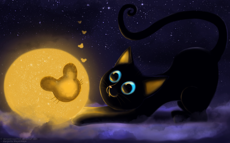 Ночь Луна кот