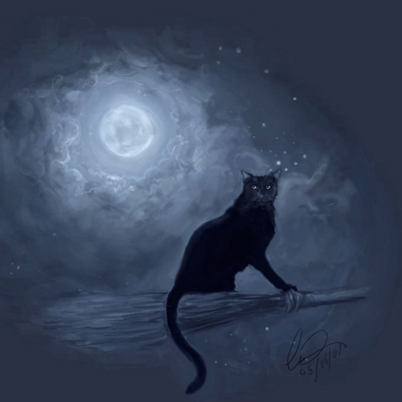 Кошка в лунном свете