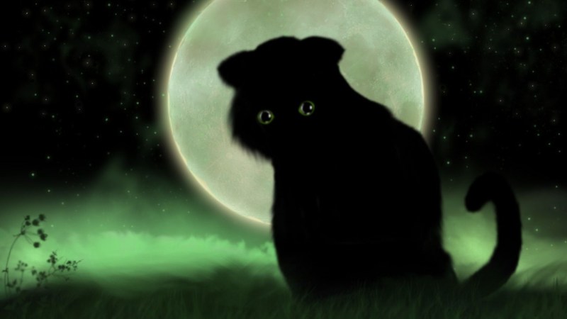 Кот на фоне Луны