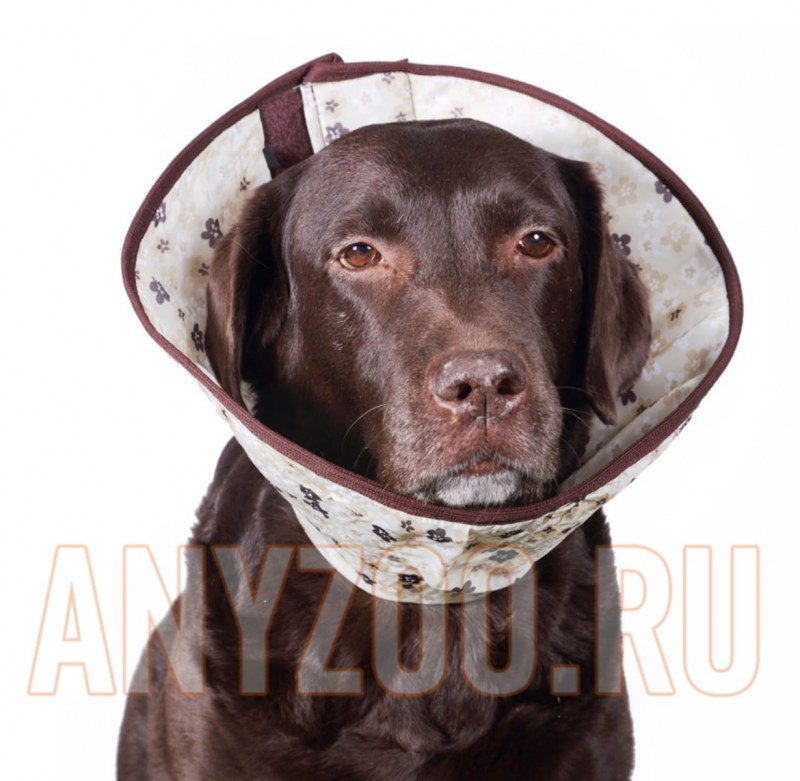 Защитный воротник Kruuse Buster clic Collar 25 см