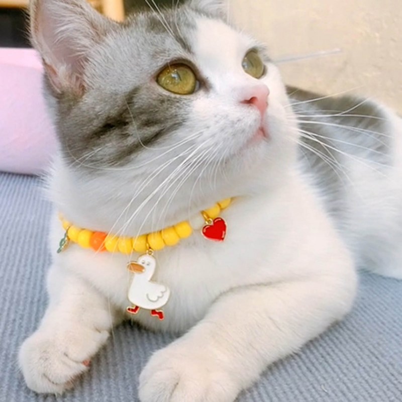 Воротник для кошки