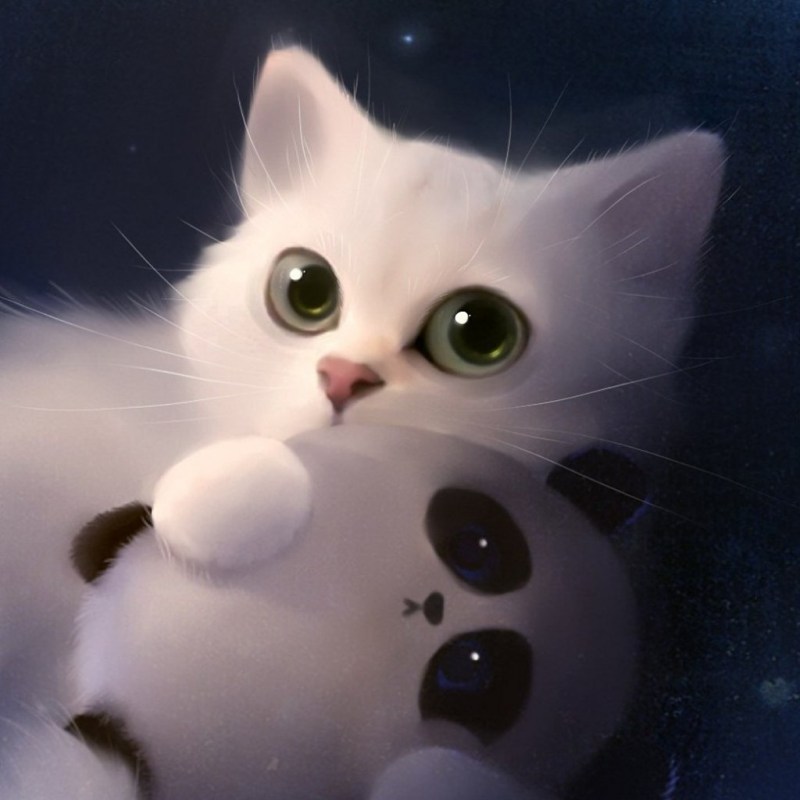 Котики няшки