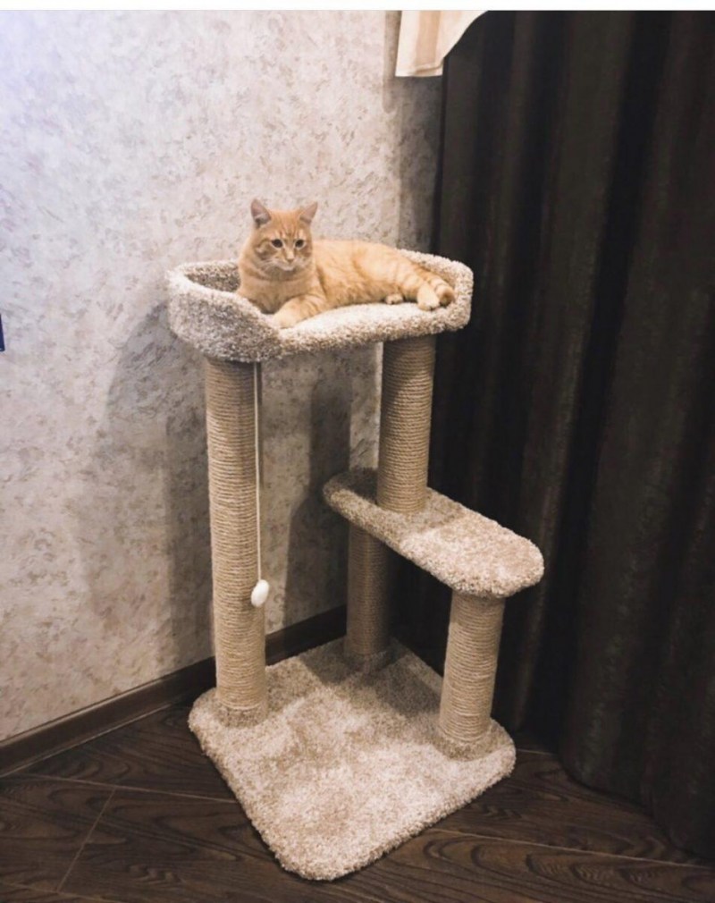 Когтеточка кисмит домик