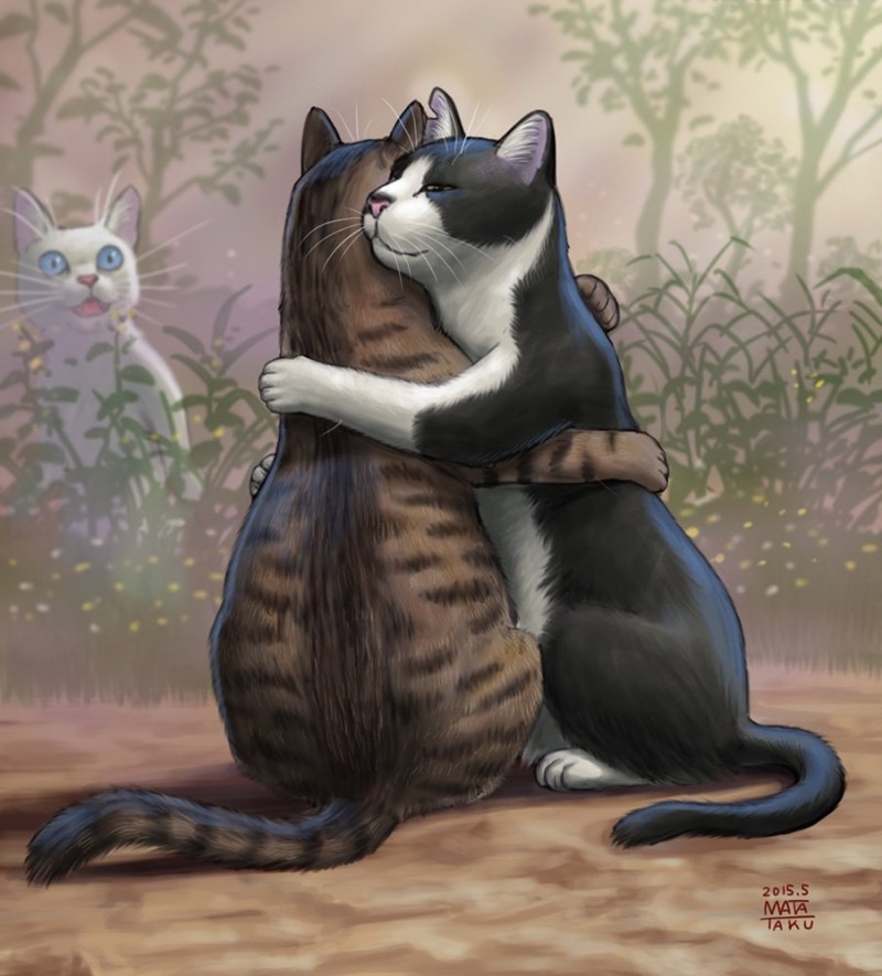 Кот обнимает