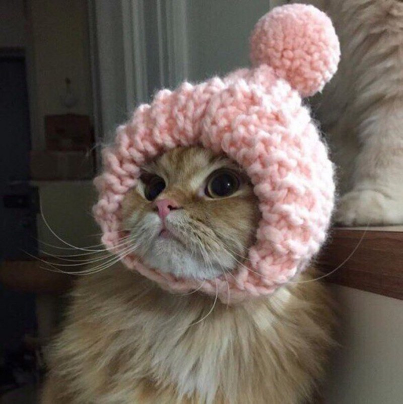 Шапка 'кошка'