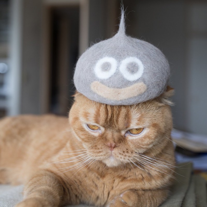 Шапочка котика