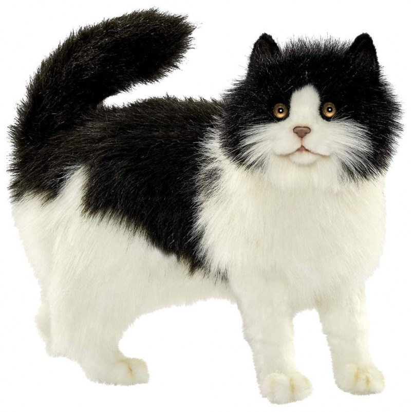 Мягкие игрушки Hansa кошки