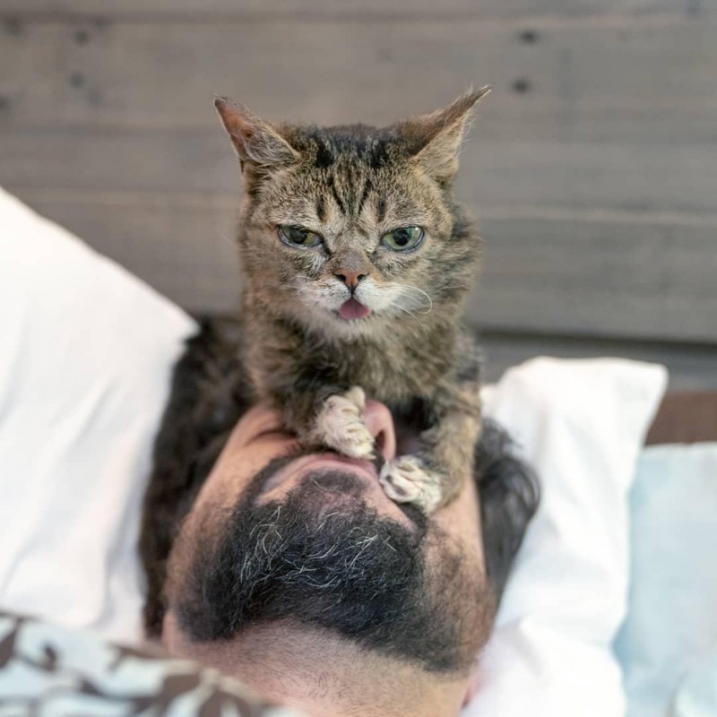 Брошенные котята на улице