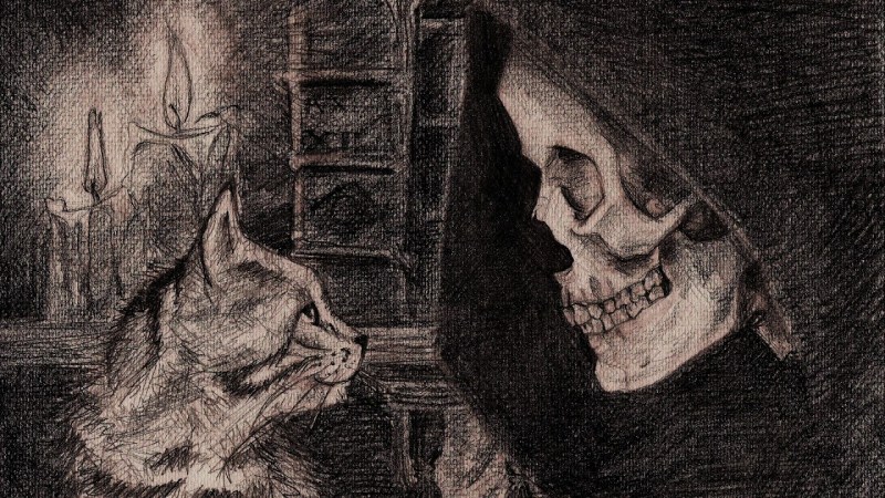 Кот болеет