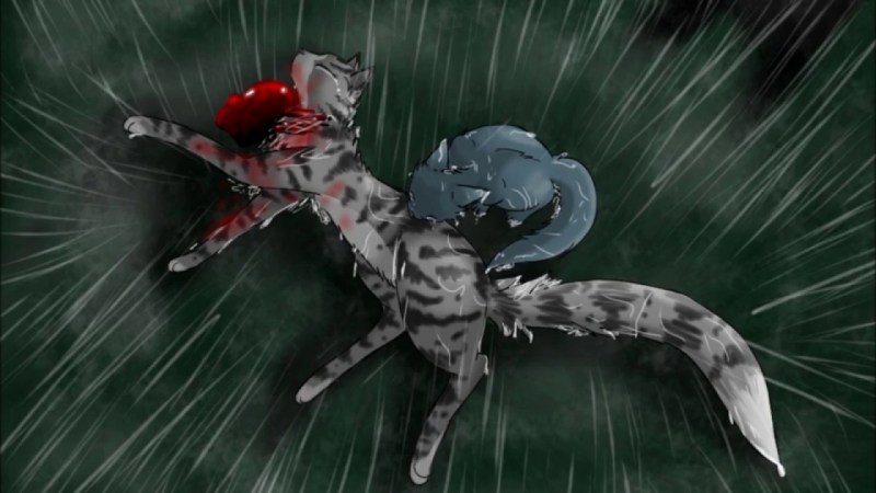Кошка без хозяйки