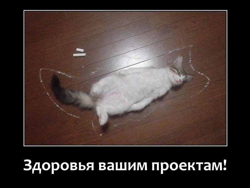 Замерзшие коты