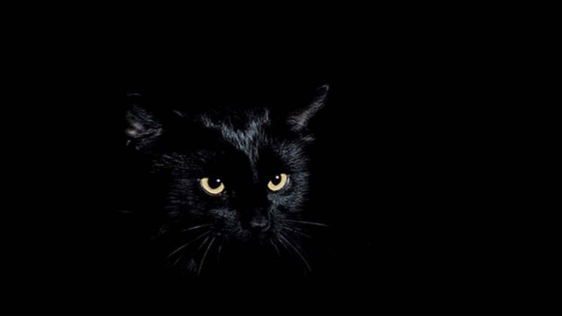 Черное на черном фоне