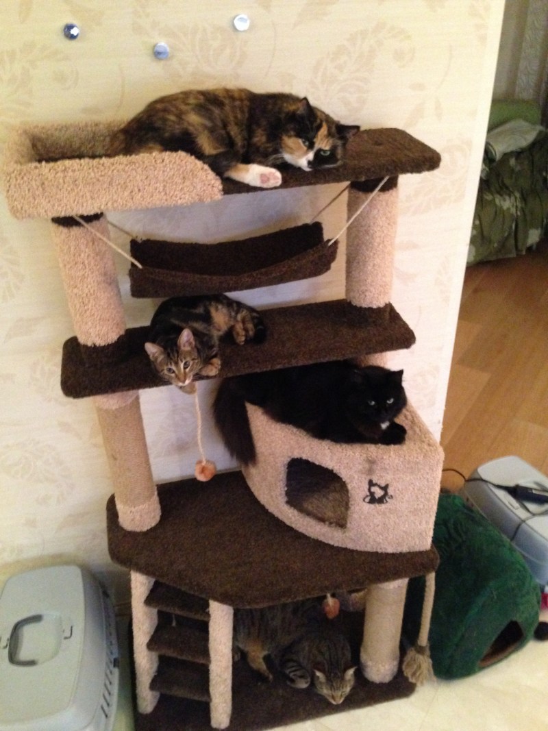 Лежанка для кота