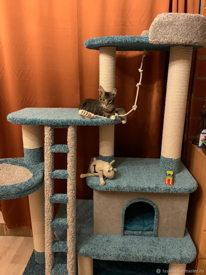 Манеж для котят