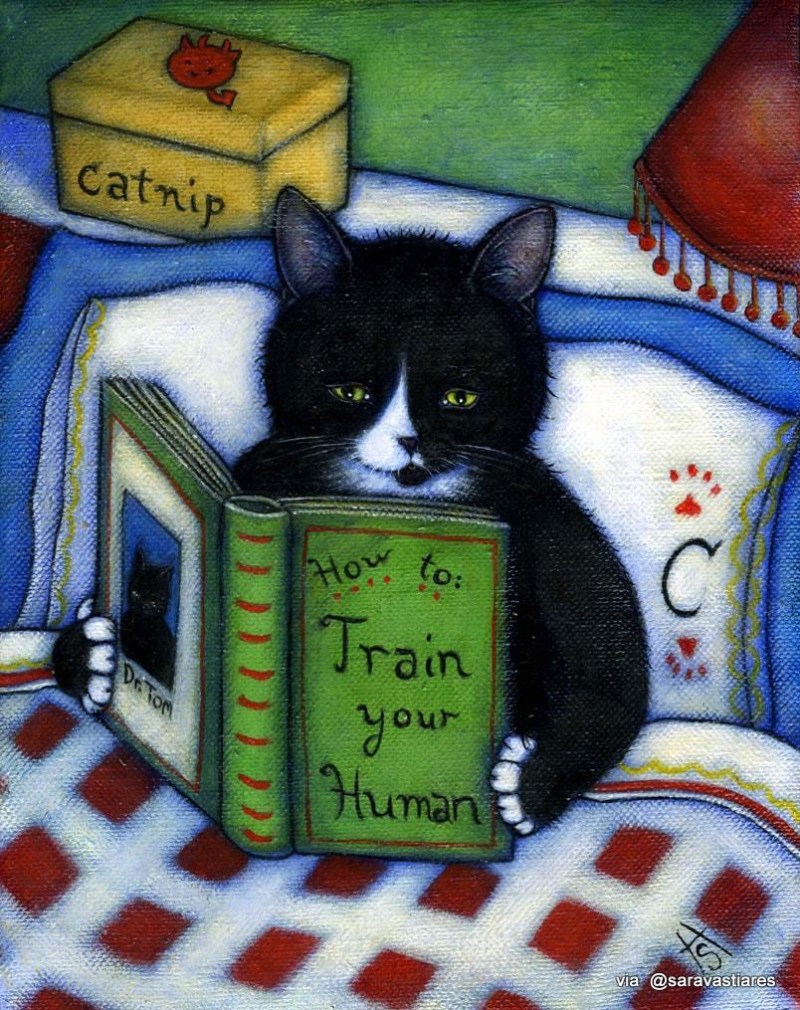 Кошечка с книгой