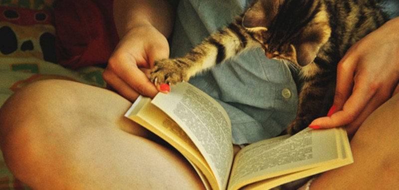 Девушка книжка кот