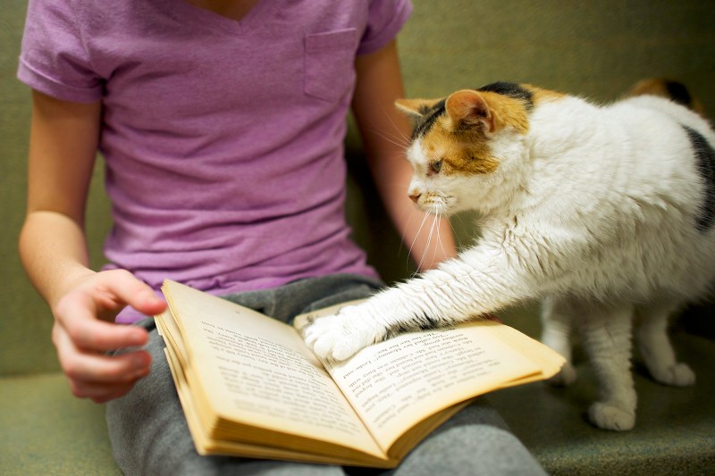 Смешные животные с книгами