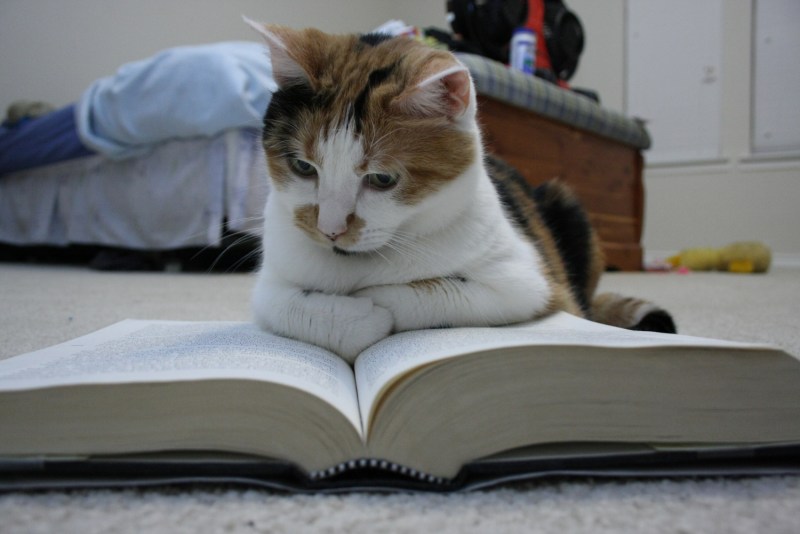 Книги про кошек