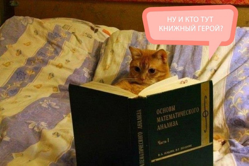 Кот с книгой Мем
