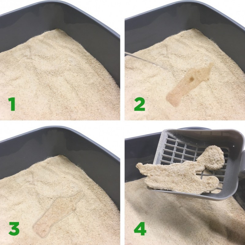 #Almo nature Cat Litter 100% натуральный биоразлагаемый комкующийся наполнитель