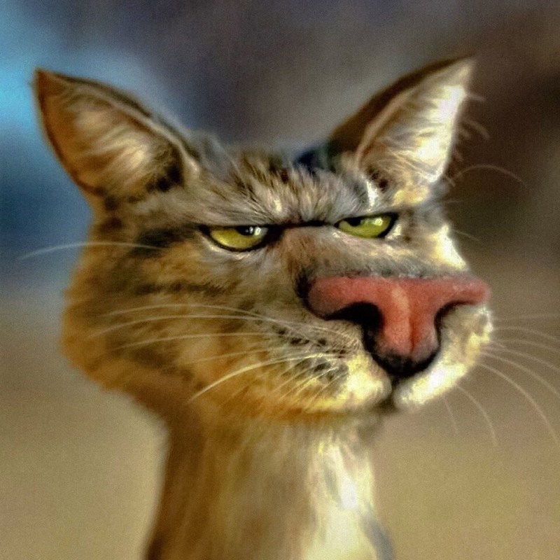 Смеющийся кот юмор