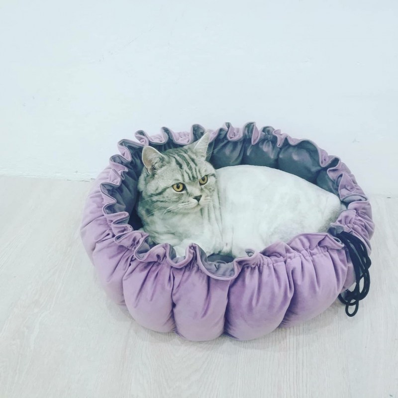 Лежанки для котов