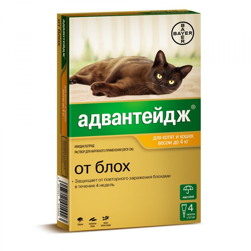 Bayer: Адвантейдж до 4кг
