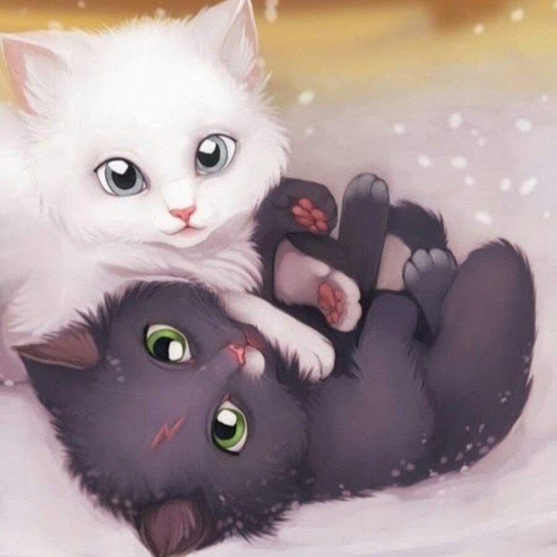 Котики обнимаются