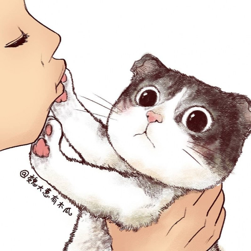 Котик целует