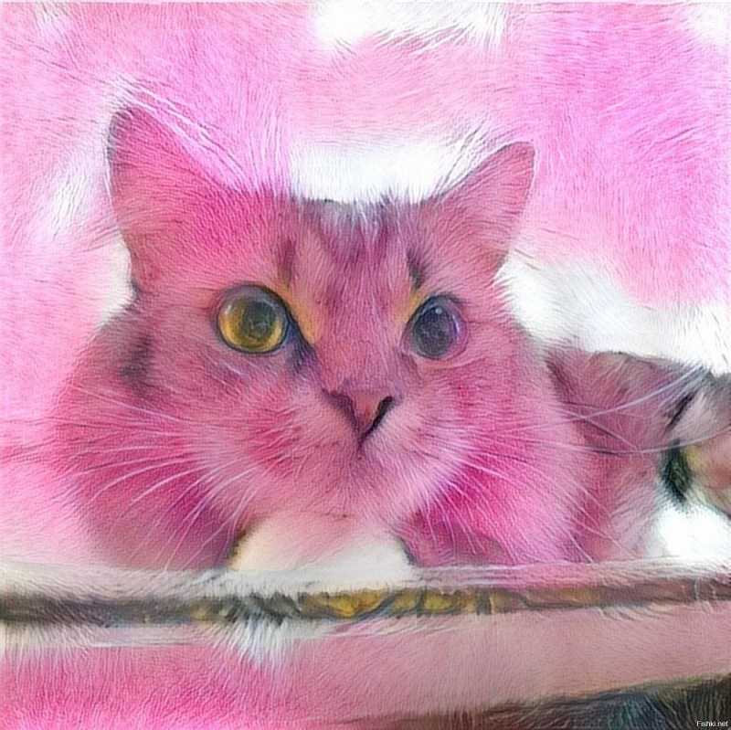 Розовая кошка