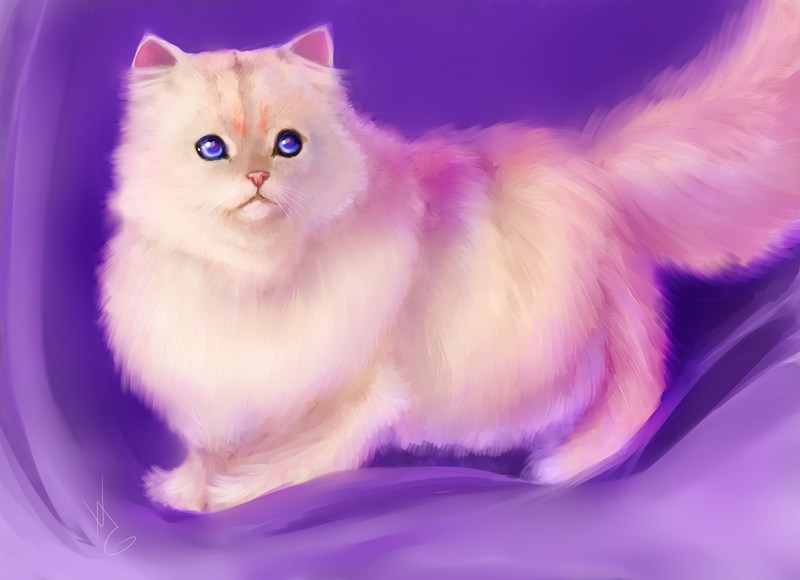 Кошка с фиолетовыми глазами