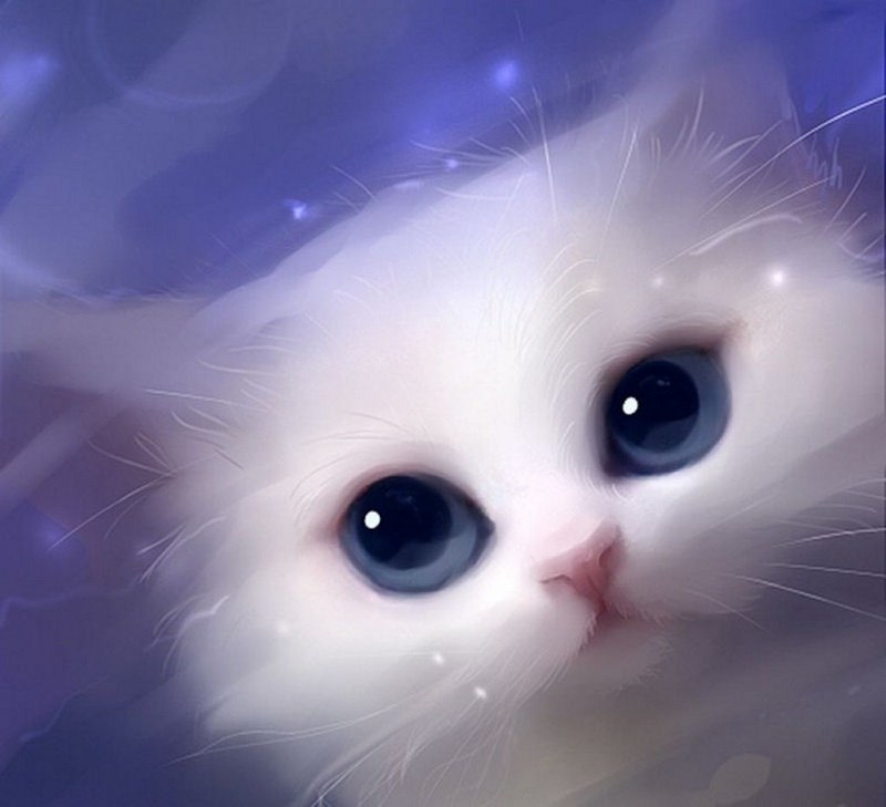 Котики няшки