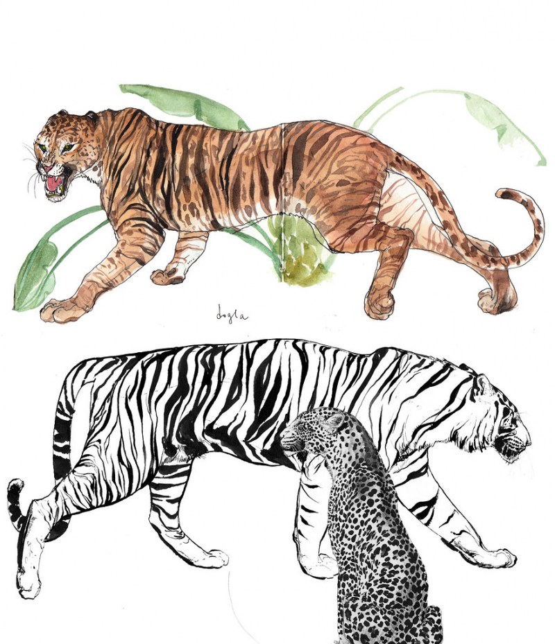 Раскраски тигр леопард
