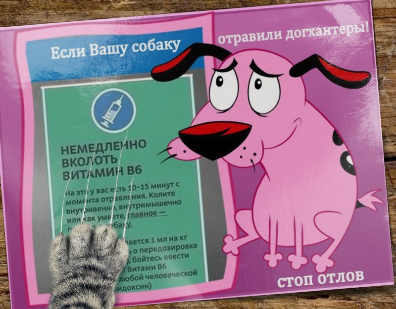 Ветелакт для собак