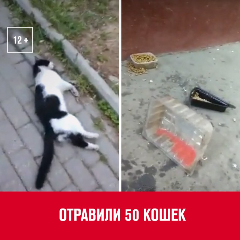 Отрава для крыс и мышей в гранулах