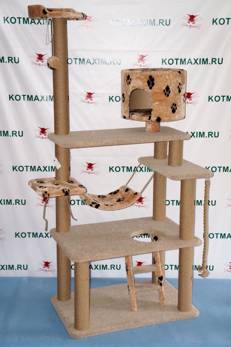 Комплекс для кошки Размеры