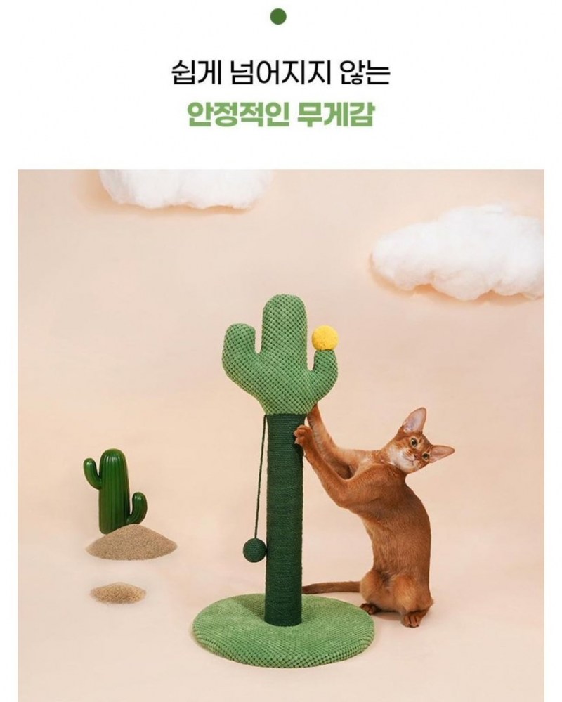 Кошка скотч