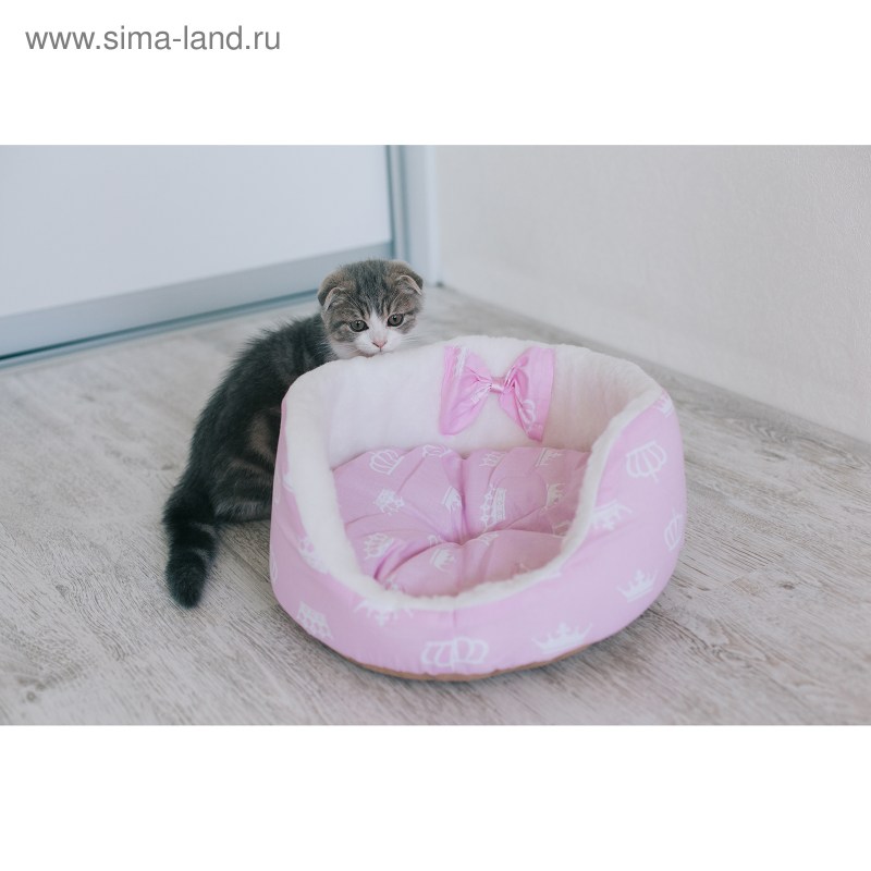 Лежанки для котят