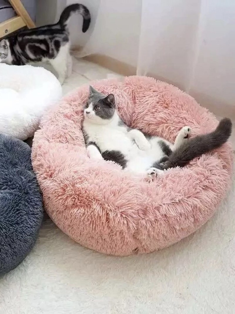 Мягкие лежанки для кошек