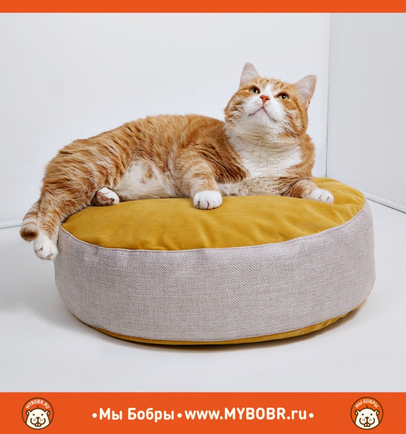 Лежанки для котят