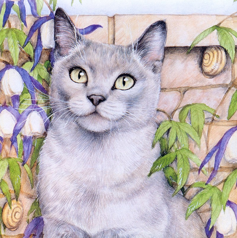 Коты Дебби Кук