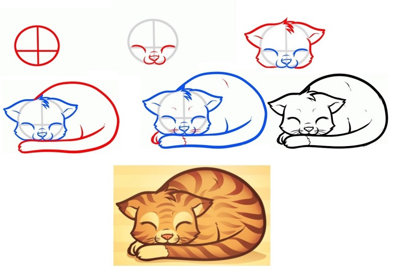 Как нарисовать кота поэтапно