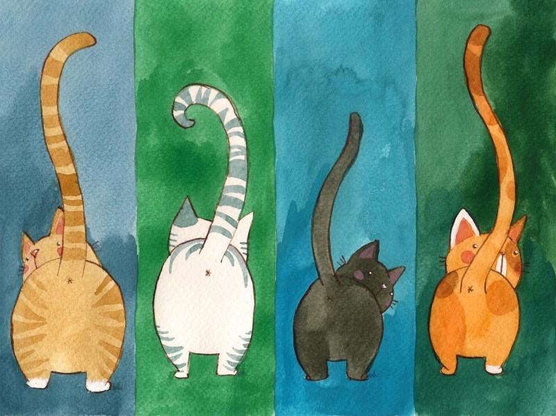 Кот рисунок