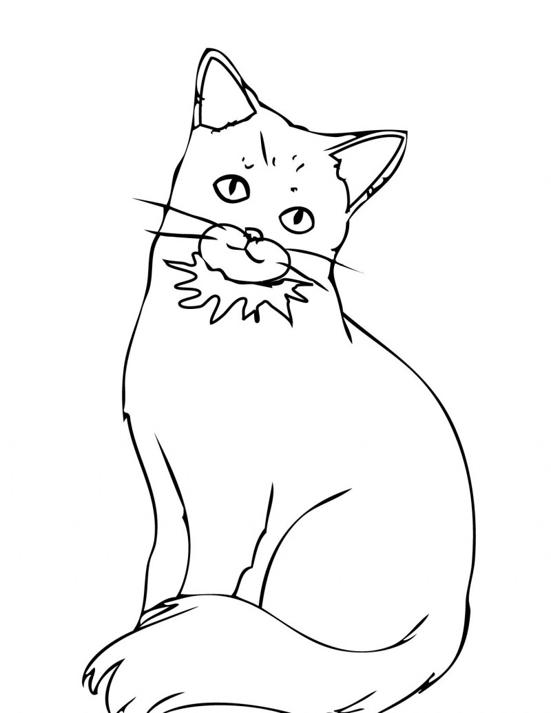 Рисунок кота для раскрашивания