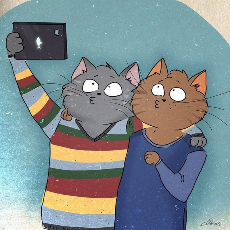 Коты братаны